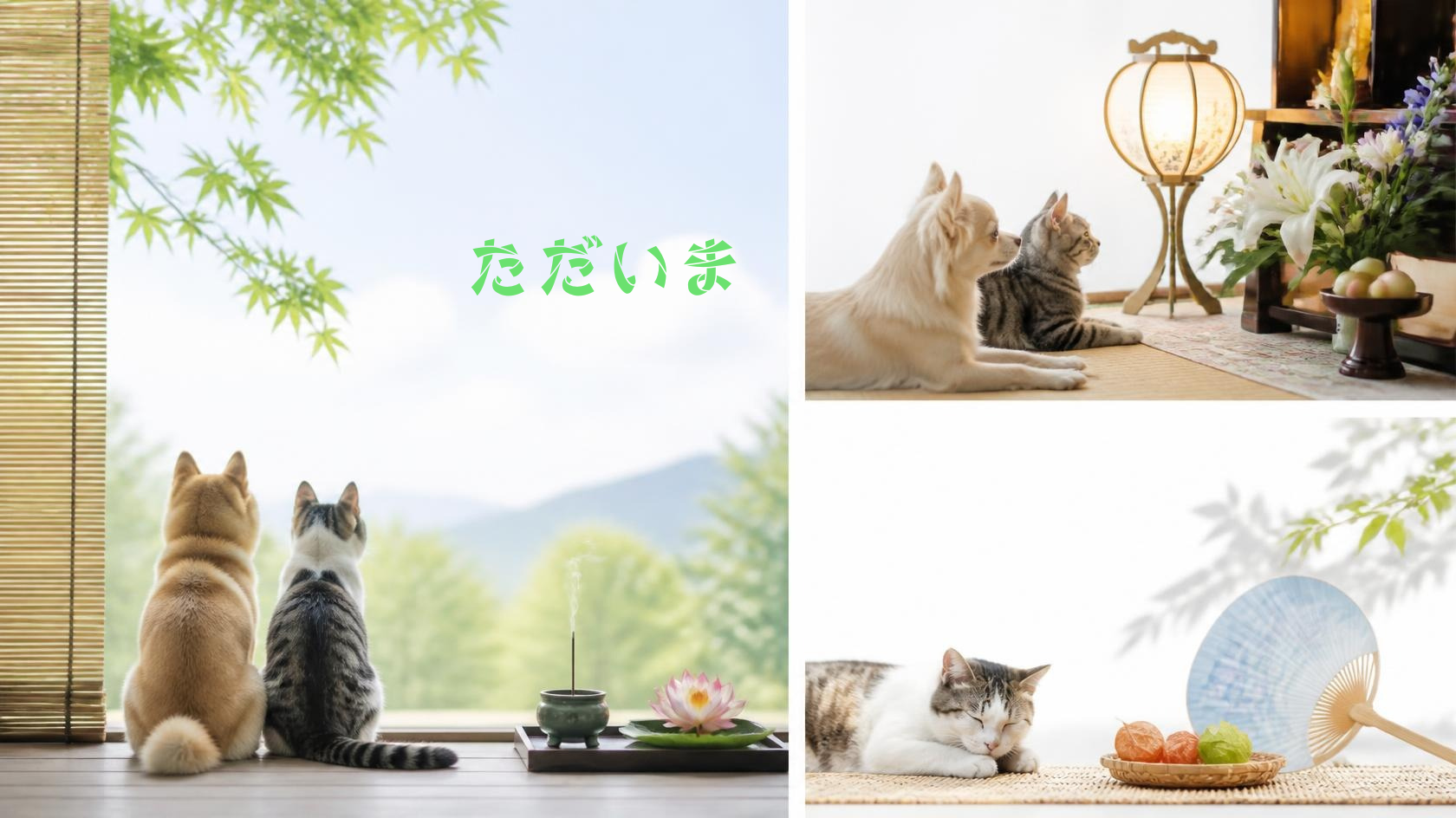 お盆にあの子たちを感じたことありませんか？